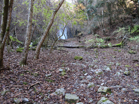 20161206hike (38)